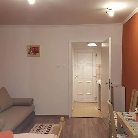Aranypart Vizparti Apartman דירה שיופוק