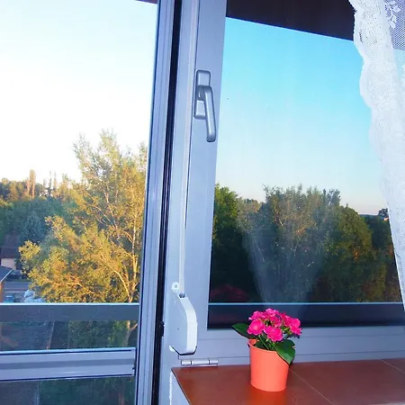 Aranypart Vizparti Apartman שיופוק
